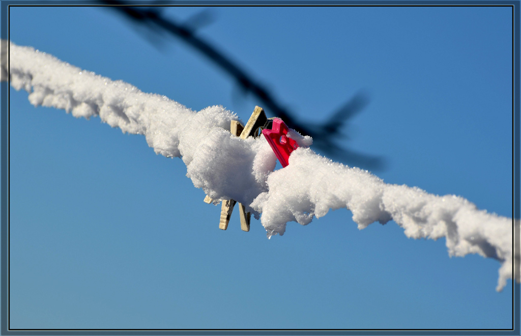 mollette stendi-panni