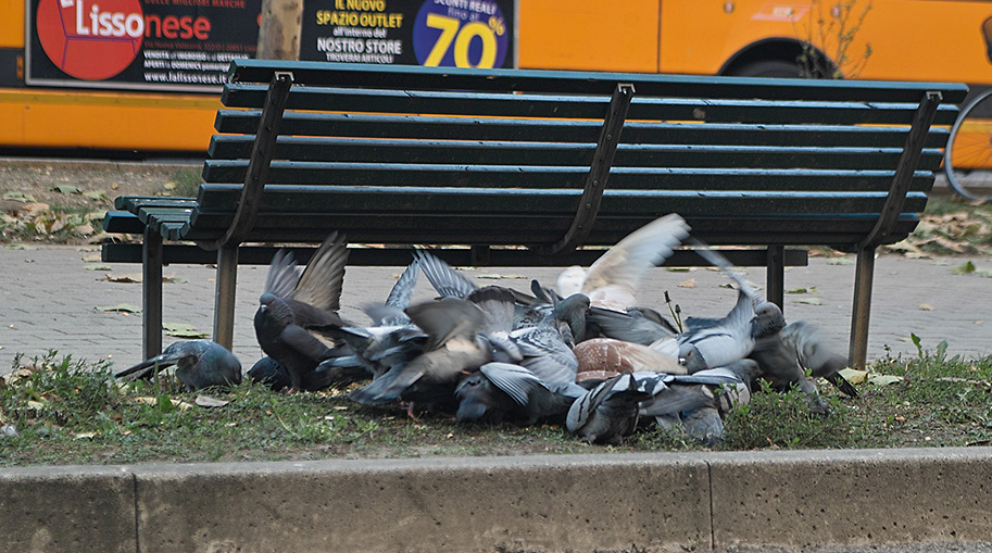 Sotto Natale, sconti 70%