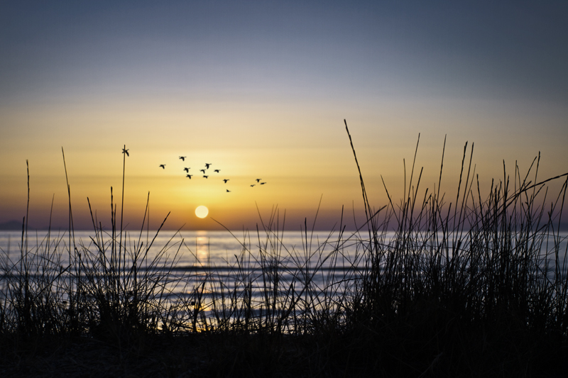 Aria Acqua Terra e Fuoco