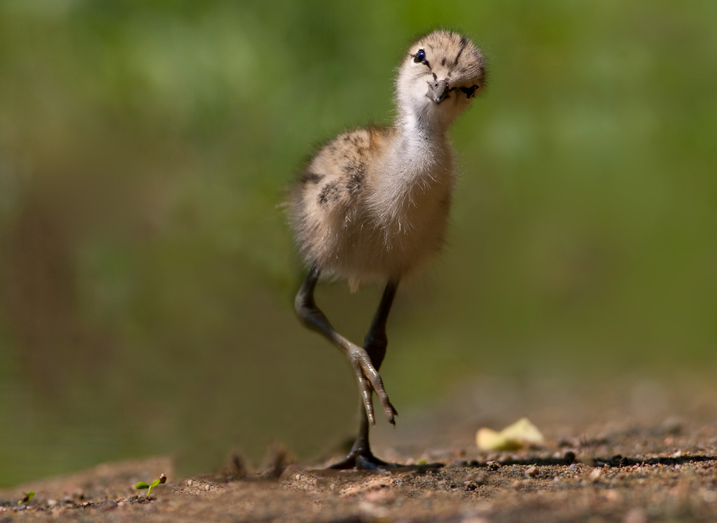 buone feste a tutti!
