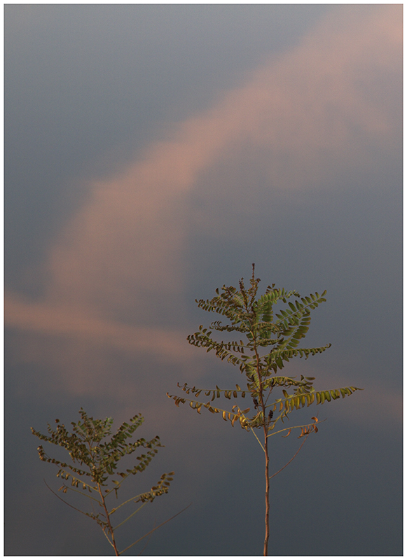 img 3726 - Sull'Arno