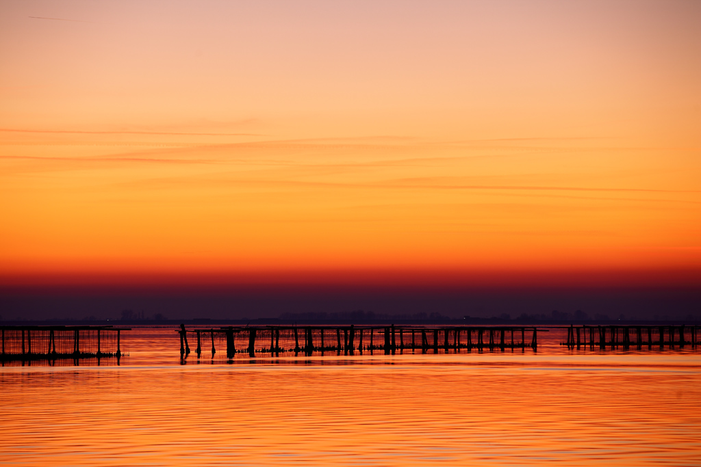 Sacca di Scardovari tramonto