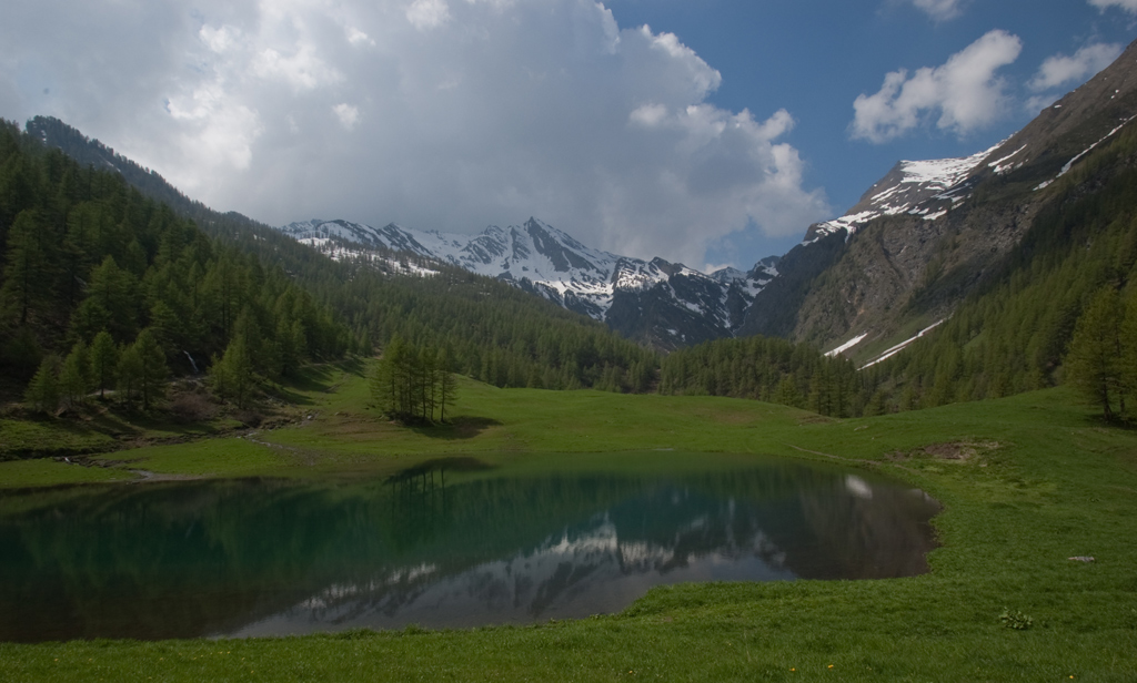 lass� i pascoli...