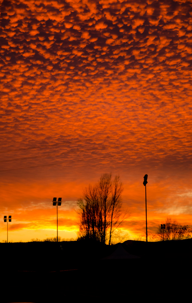 tramonto a pecorelle