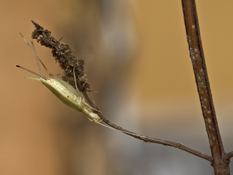 ....ultimo post 2011....