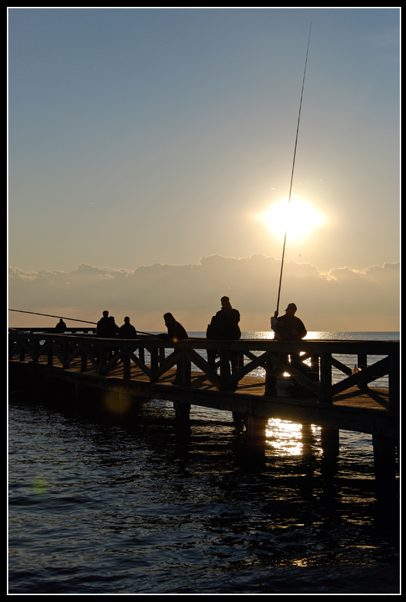 Meraviglie del Creato