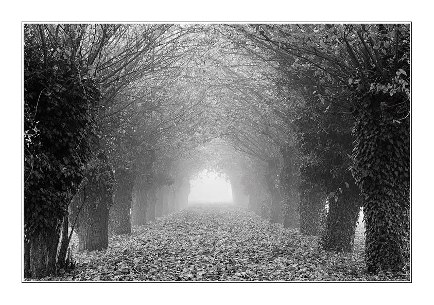 Towards an umpredictable 2012