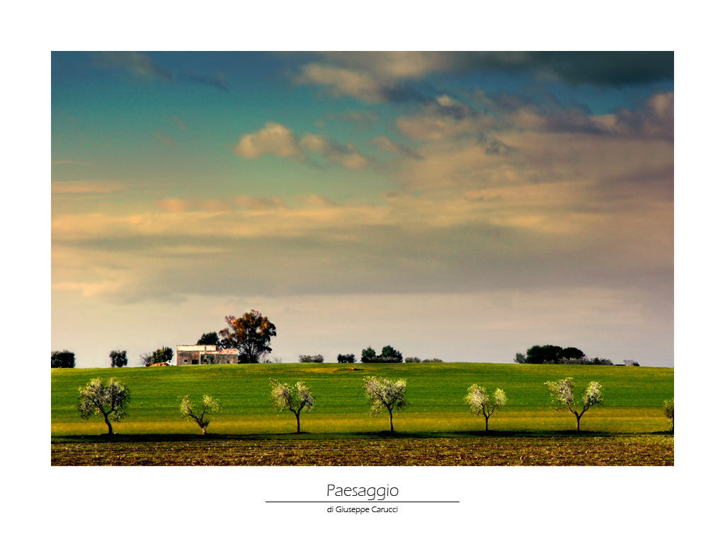 Paesaggio