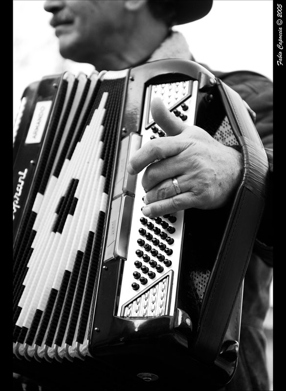 Sposato con la musica