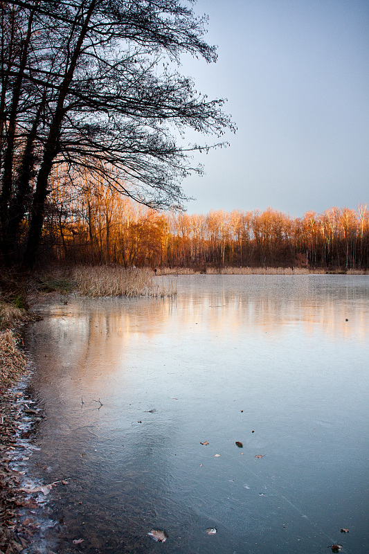 La mattina del trentuno dicembre
