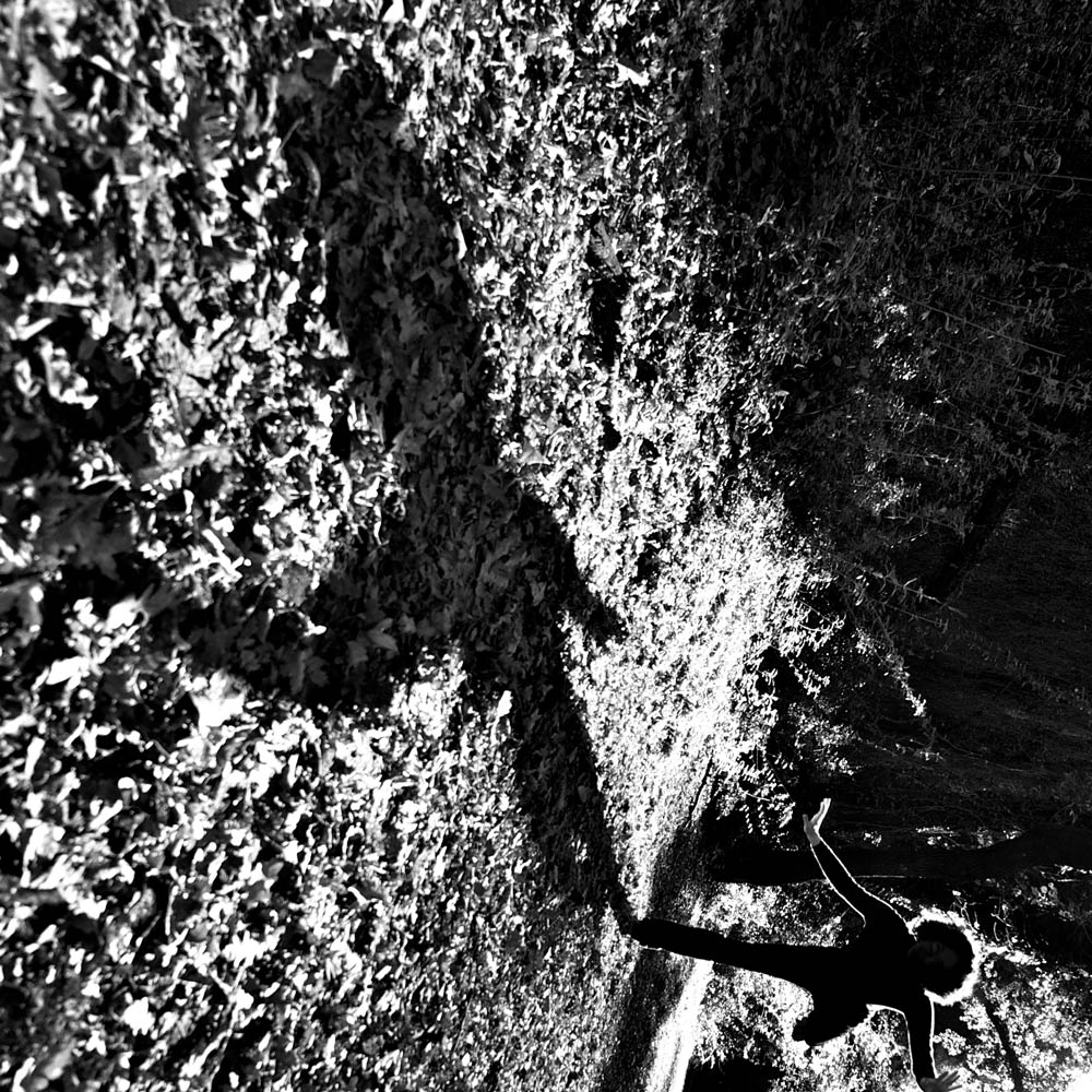 The Girl Who Loved Tom Gordon