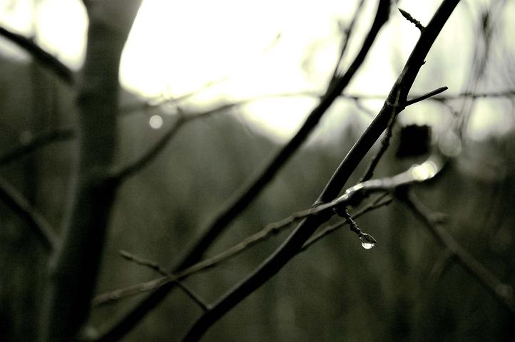 Prime mattine d`inverno