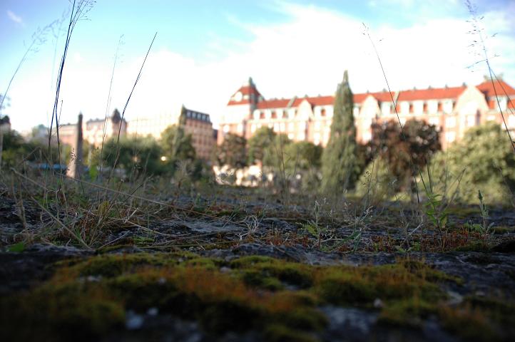 Diverso punto di vista