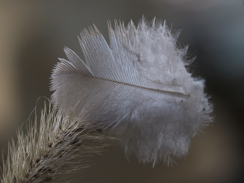 ...soffice...leggera....delicata