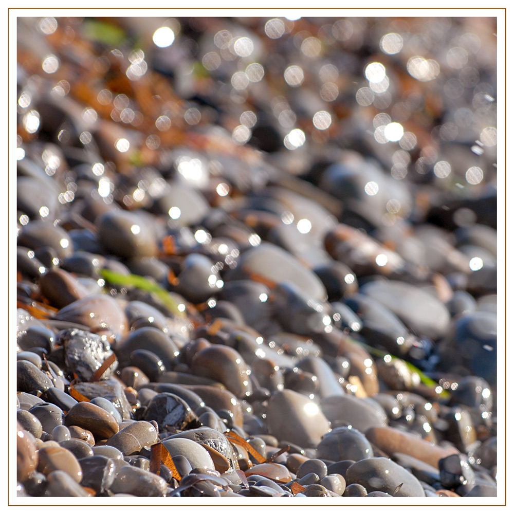 :: Breccia di mare ::