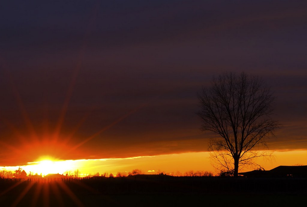 Abbassa la tapparella!