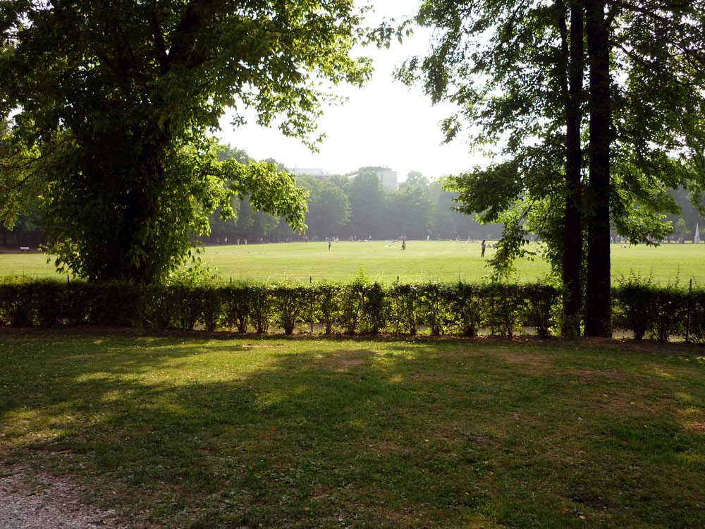 101 QUANDO TUTTO E' VERDE