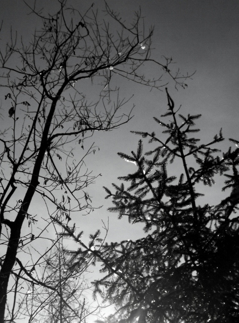 l'abbraccio nel cielo