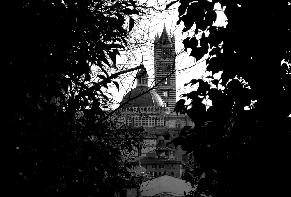 duomo di Siena