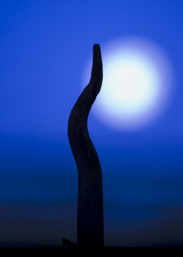 La luna oltre il cortile