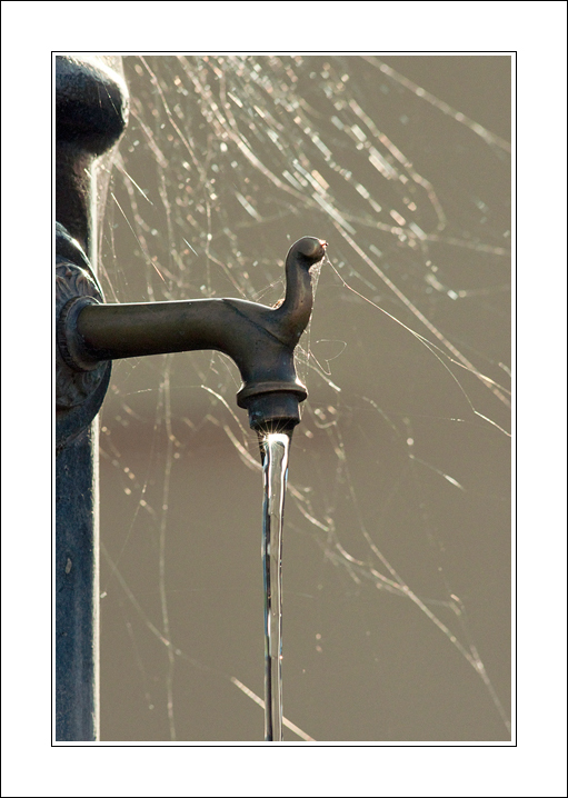 Sorella preziosa e umile