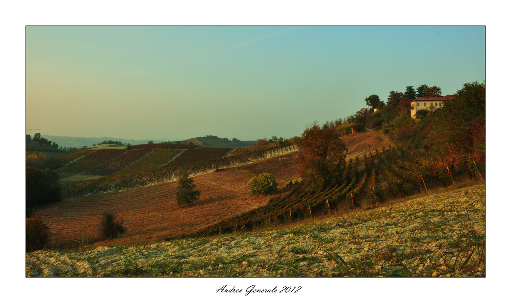 Scosceso, di vigne festito