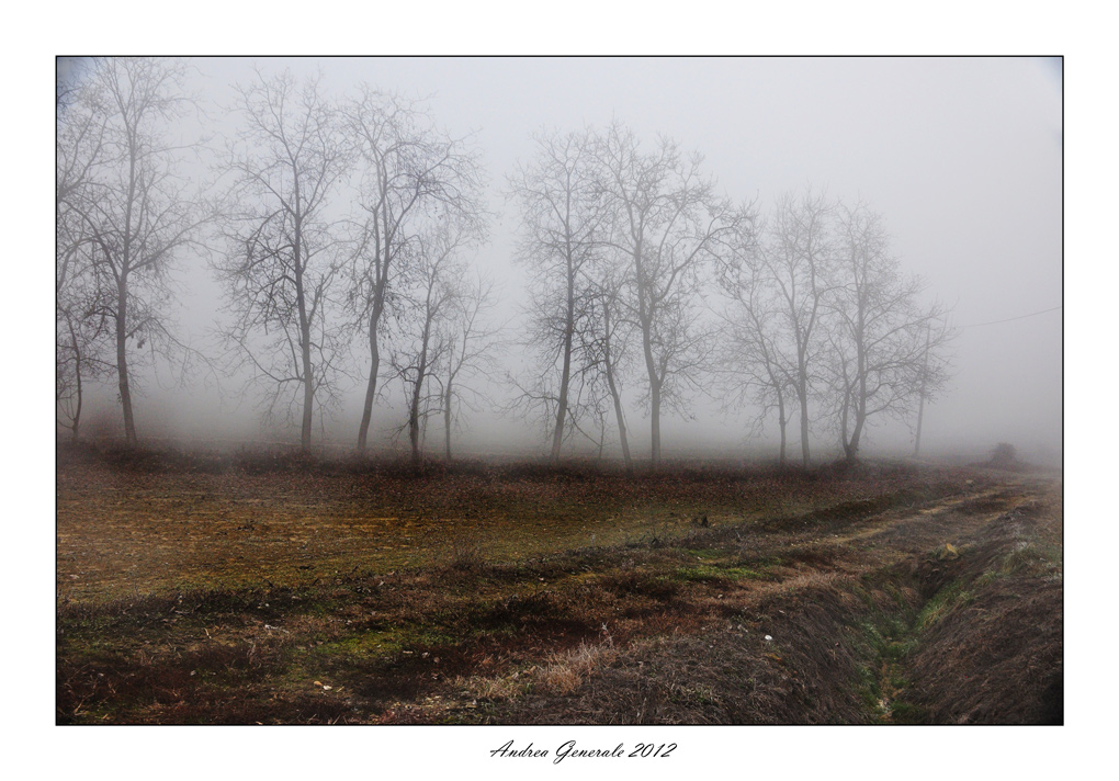 In fila, nella nebbia
