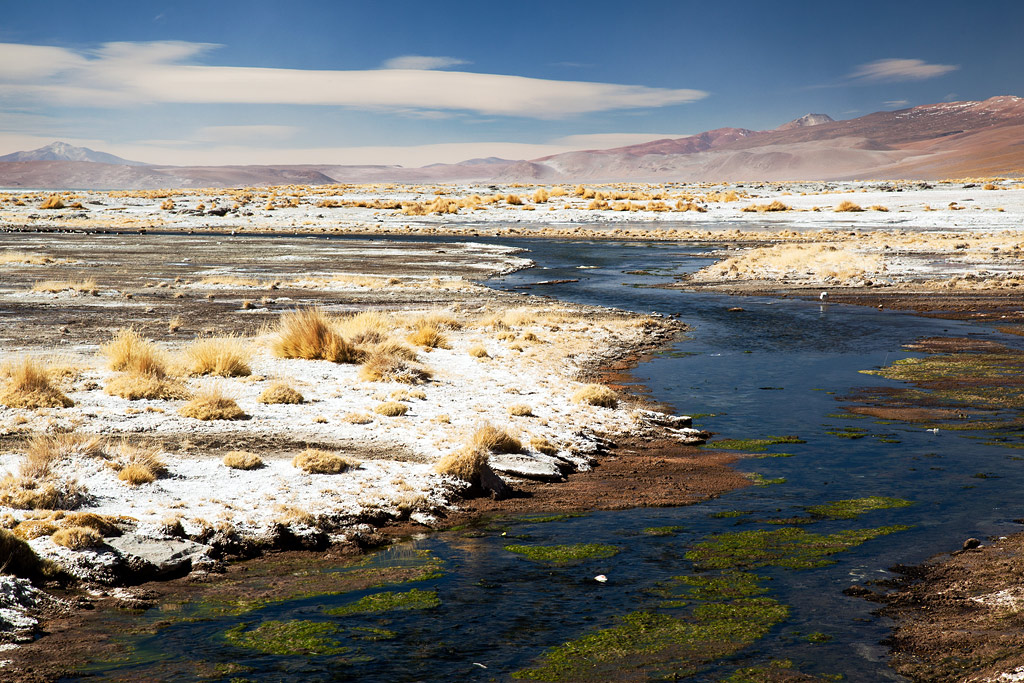 Laguna Colorada