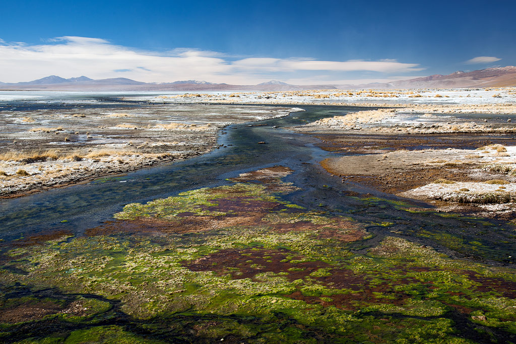 Laguna Colorada