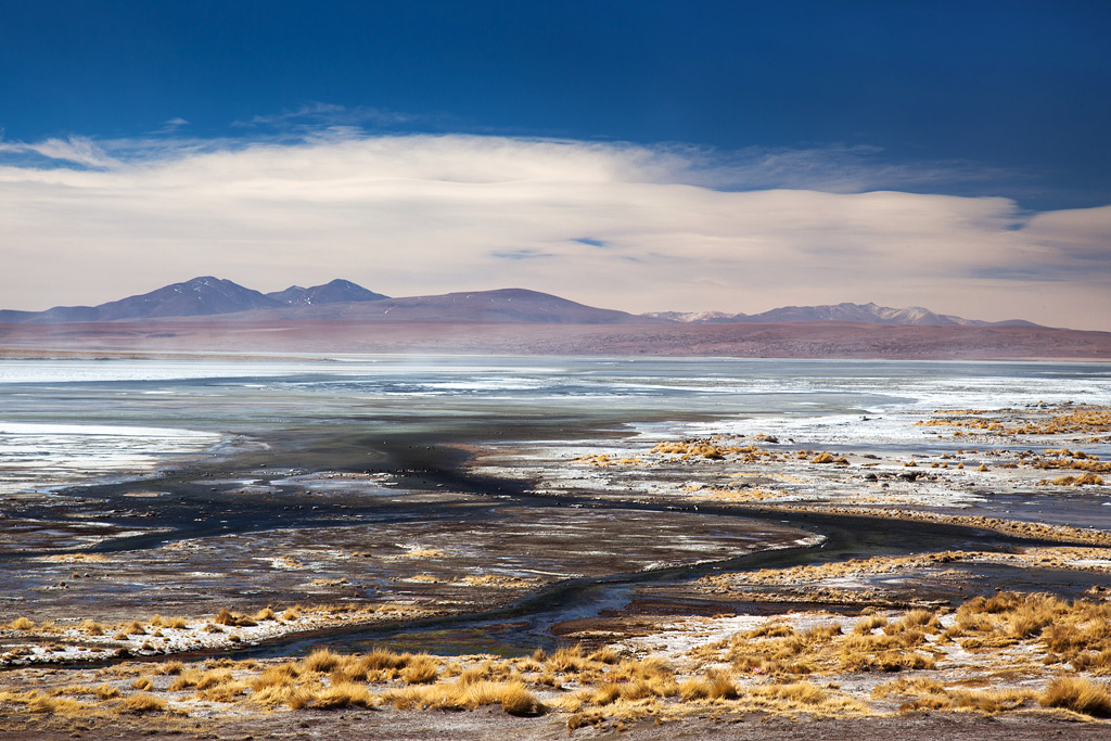 Laguna Colorada
