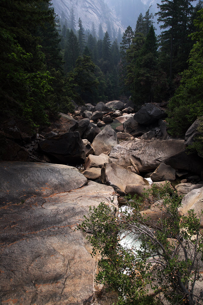 Along goes the river