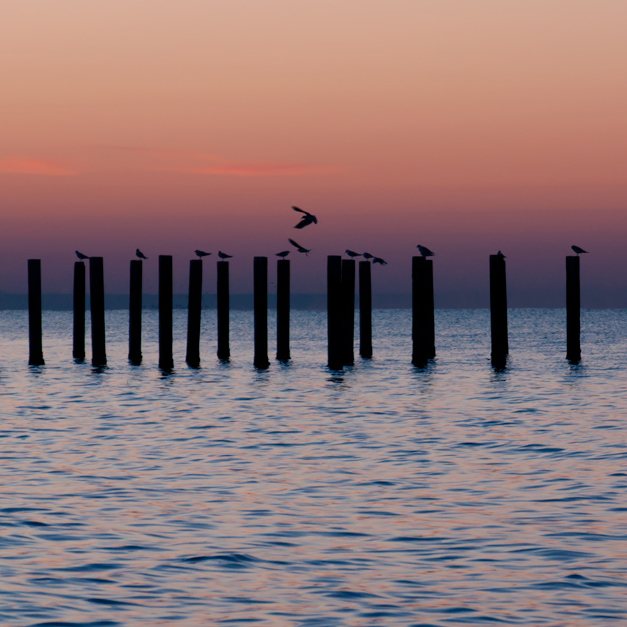 L'alba di un nuovo giorno