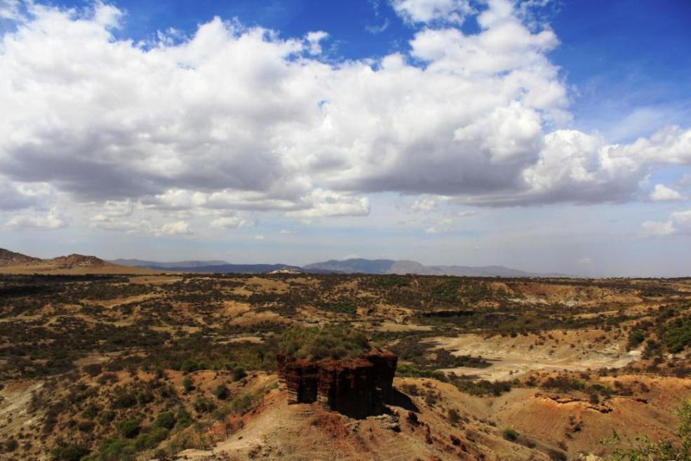 La Gola di Olduvai
