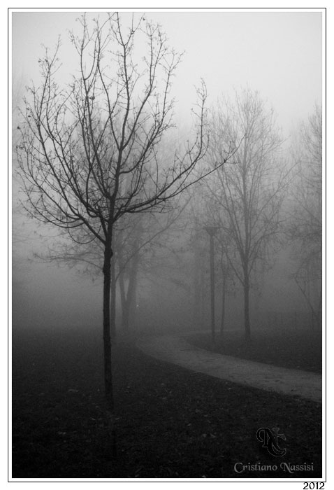 Nebbia
