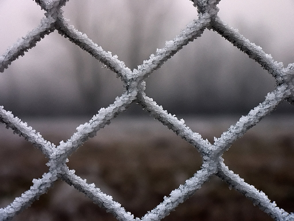prigioniero della nebbia
