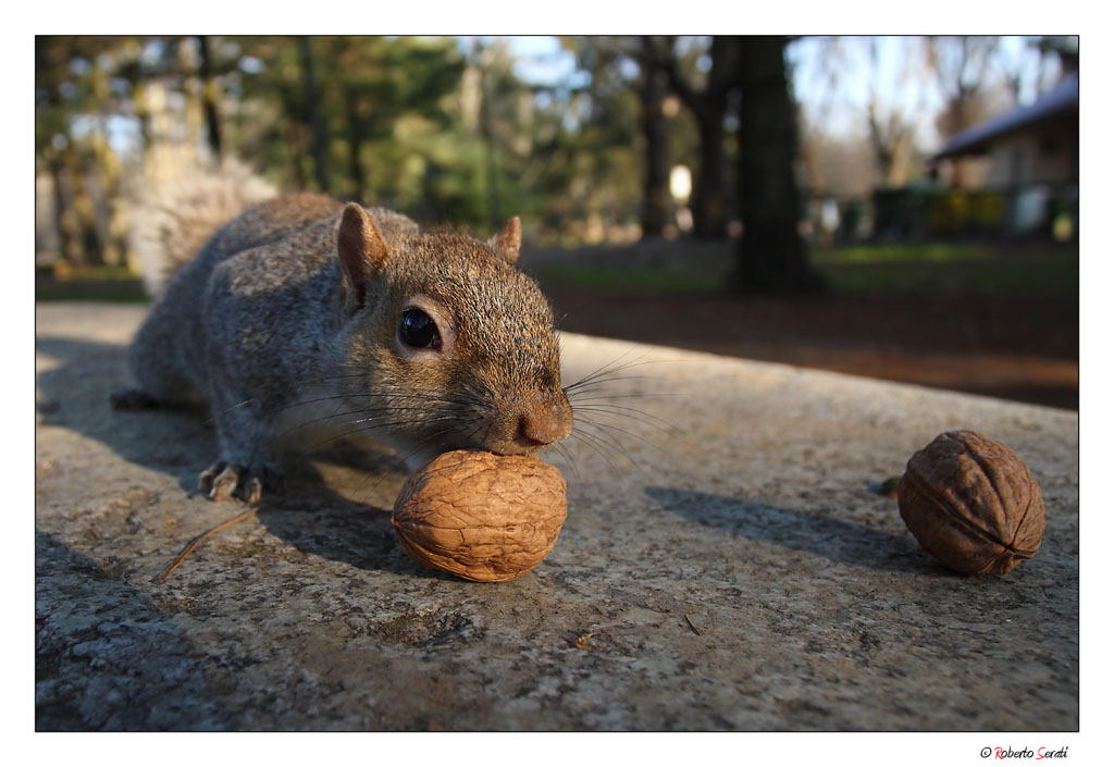 Al parco con il 17 mm