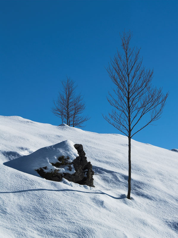 Uno scatto alla neve 1