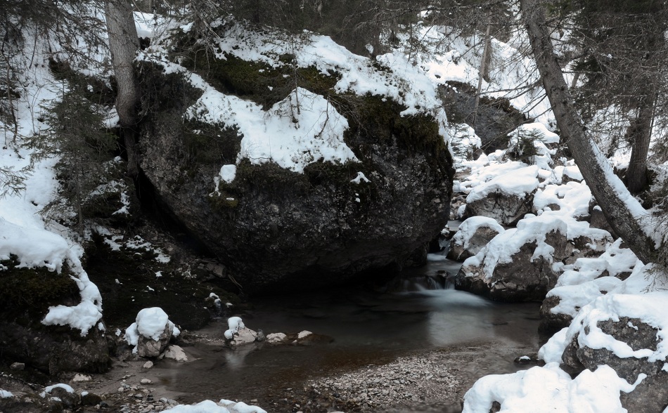 Nel bosco a Canazzei