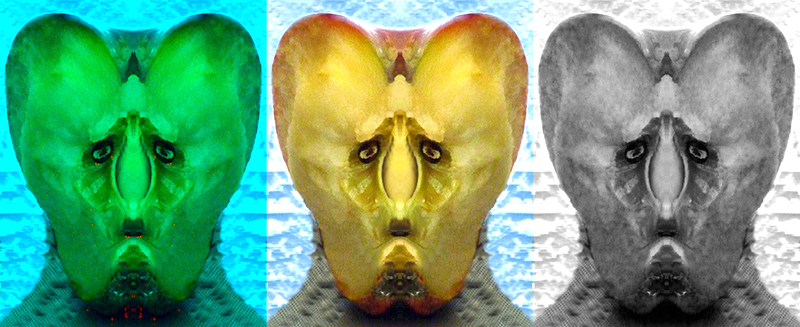 Torzoli colorati 2012