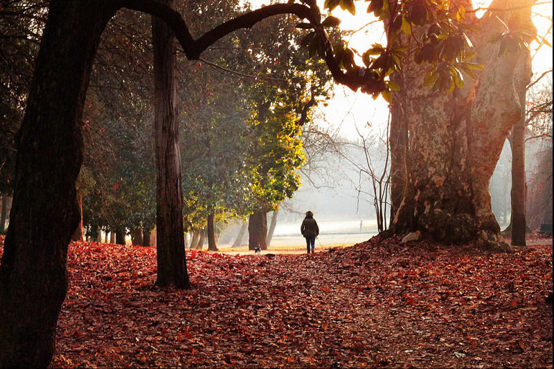 zone scure, zone chiare