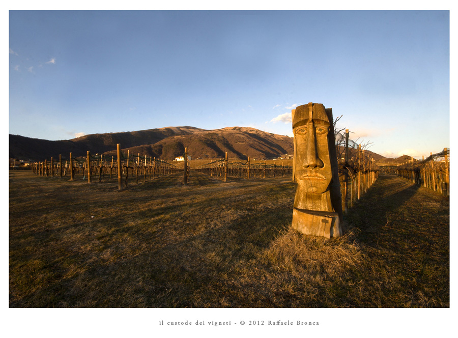 Il custode dei vigneti