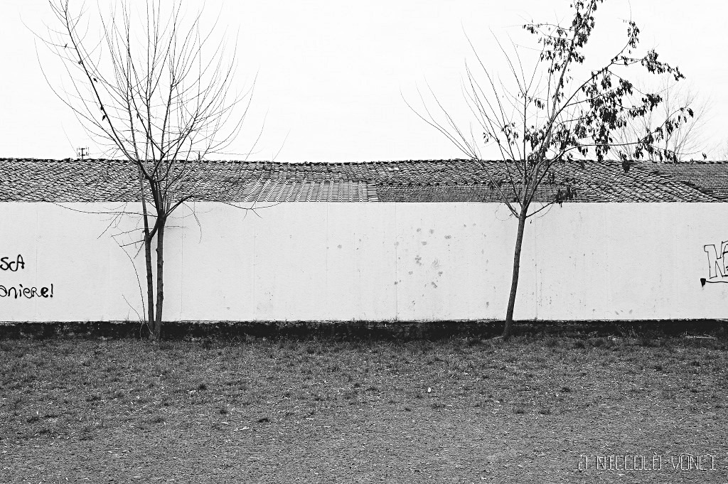 Scandicci, 27-01-2012