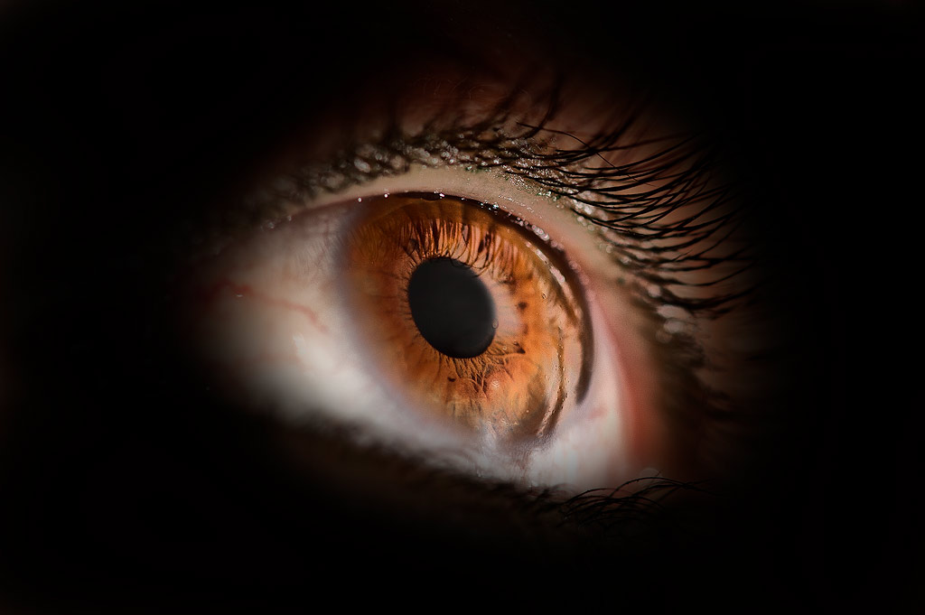 Non aprire quella porta