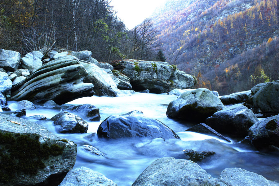 Skipper il "delfino"...