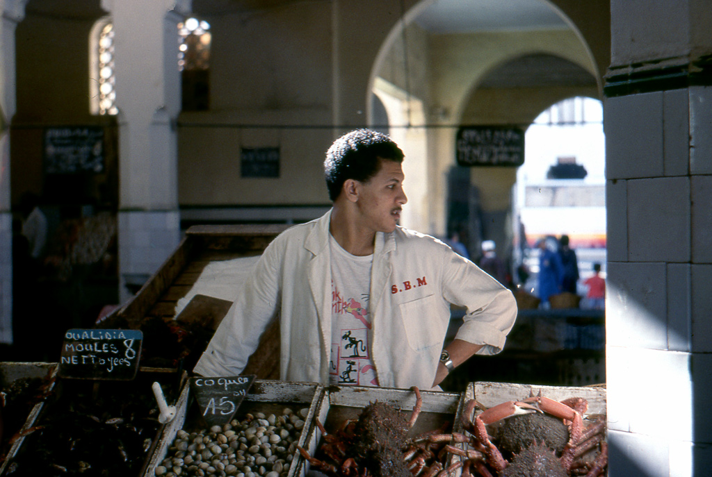 Il Venditore di pesce