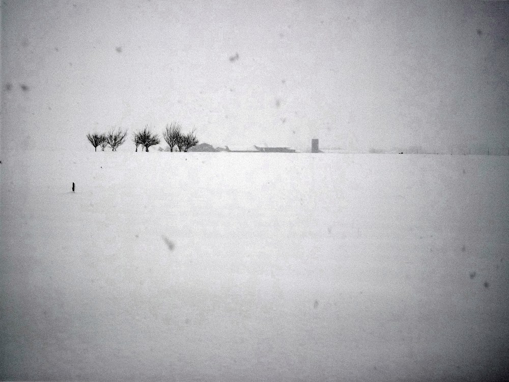 Minimal, quasi Jap - 02