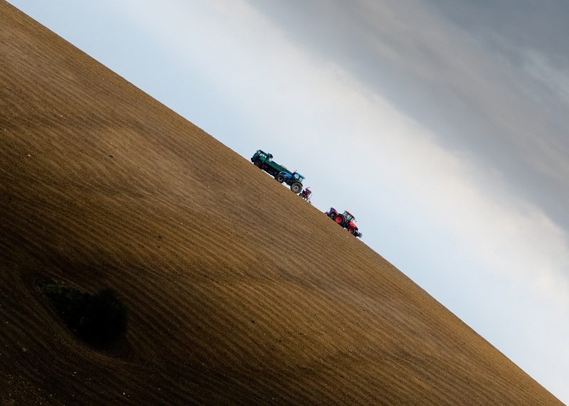 c'� chi sale e c'� chi scende