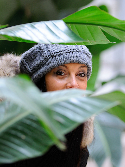 al volo...tra le piante!