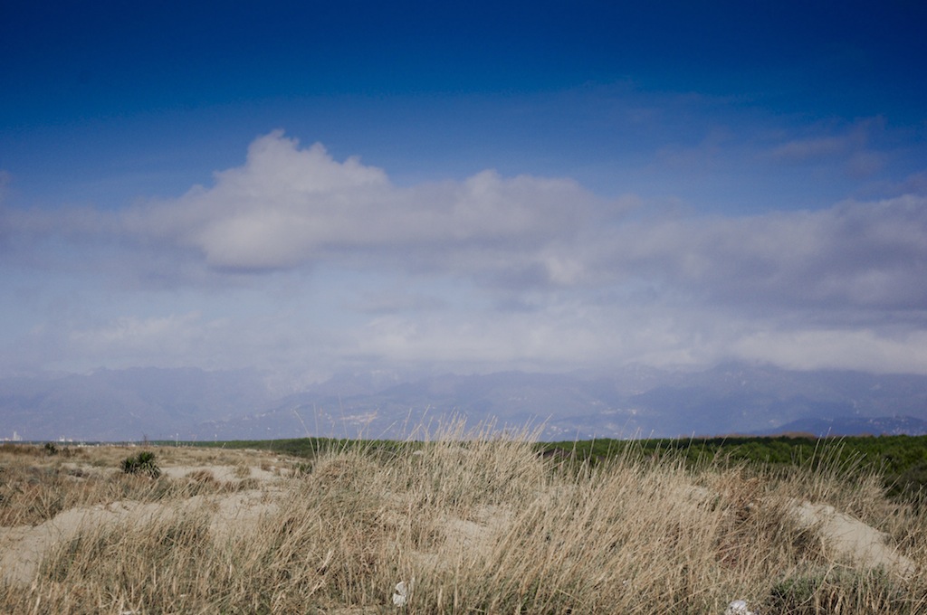 Spiaggia, macchia e montagne pisane