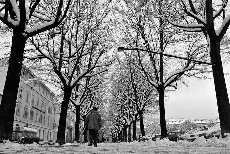 Pinerolo,Febbraio 2012